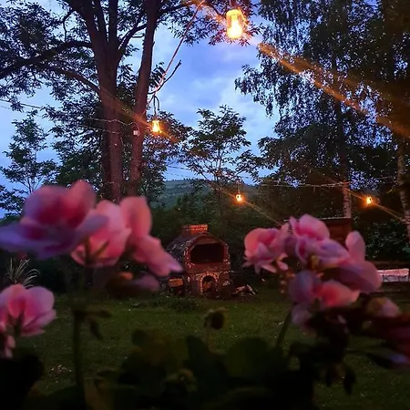 Log Uvac Nova Varoš