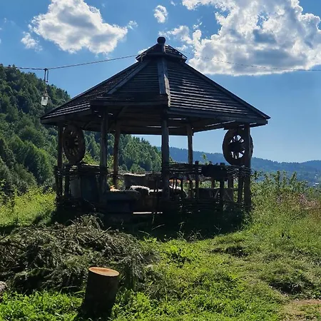 Log Uvac Casa vacanze *