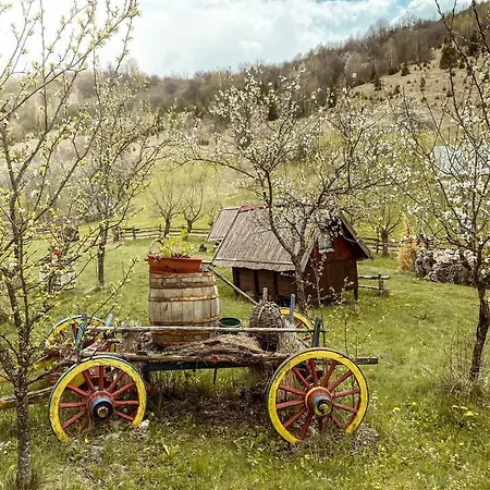 Log Uvac Casa vacanze *