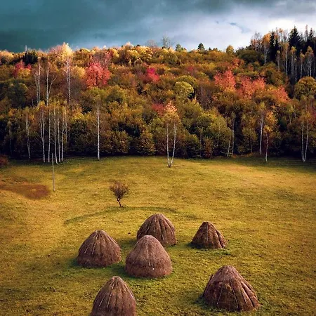 Log Uvac Holiday home *