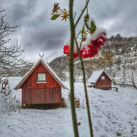 Log Uvac Casa vacanze *