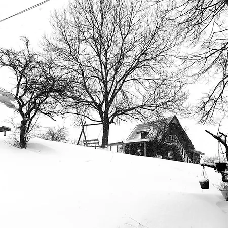 Holiday home Log Uvac Nova Varos