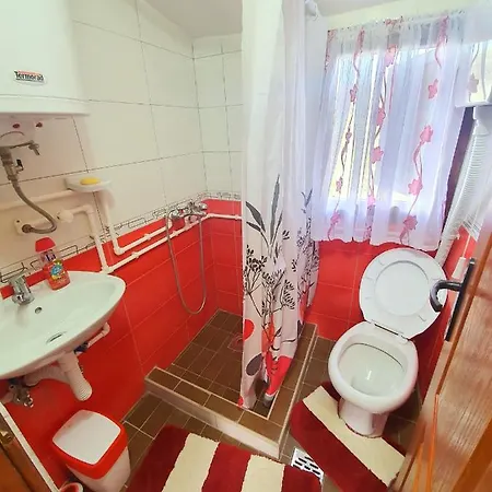 Log Uvac * Nova Varoš