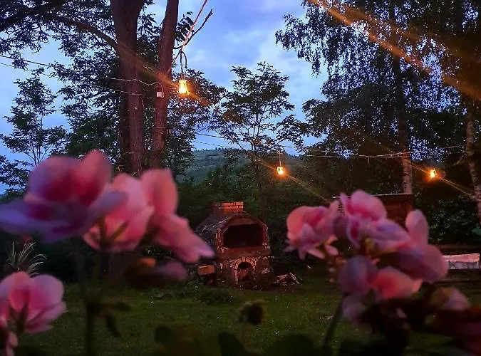 Log Uvac Nova Varoš