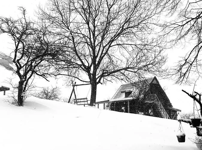 Nyaraló Log Uvac Nova Varoš