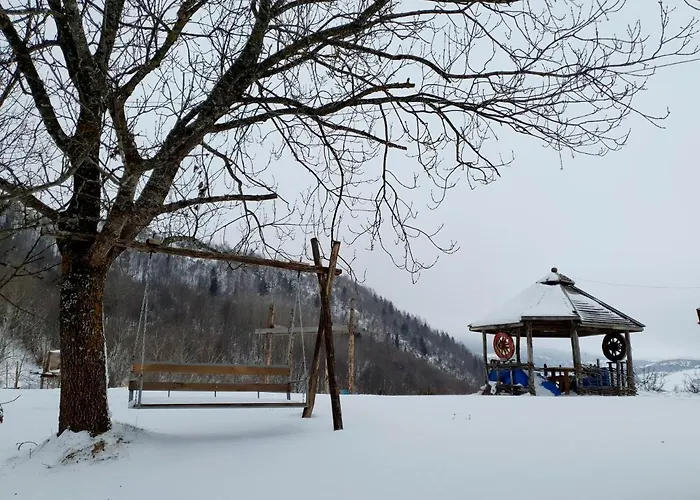 Log Uvac * Nova Varoš