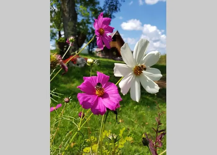 Log Uvac 度假居 *